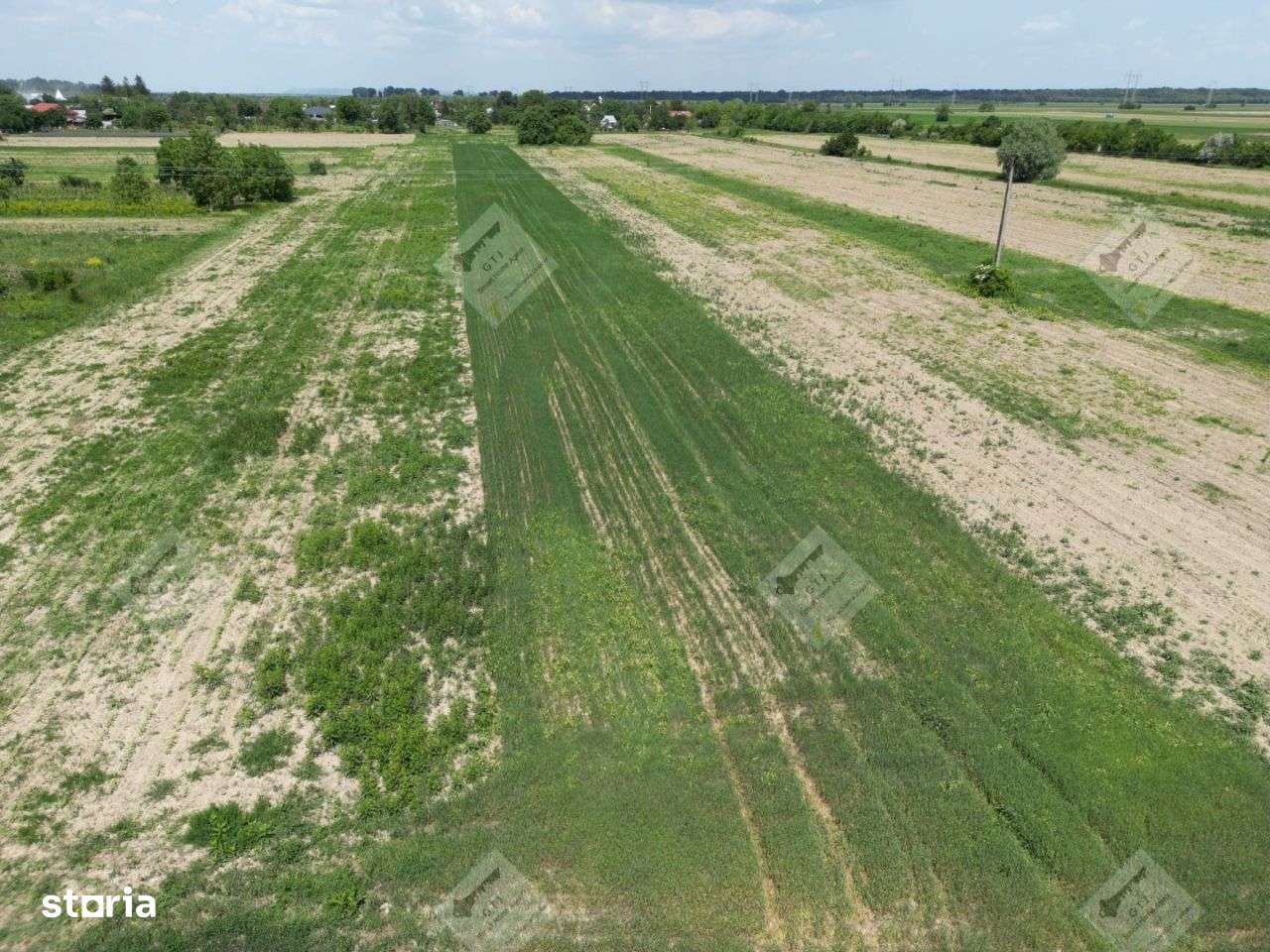 Teren Intravilan Mircestii Vechi Vanatori-6100mp - Imagine principală: 4/8