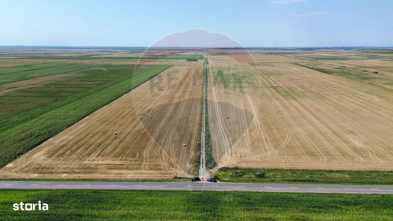 Fermă vegetală 148 ha și sediu fermă Mãicãneşti ! - Imagine principală: 2/4