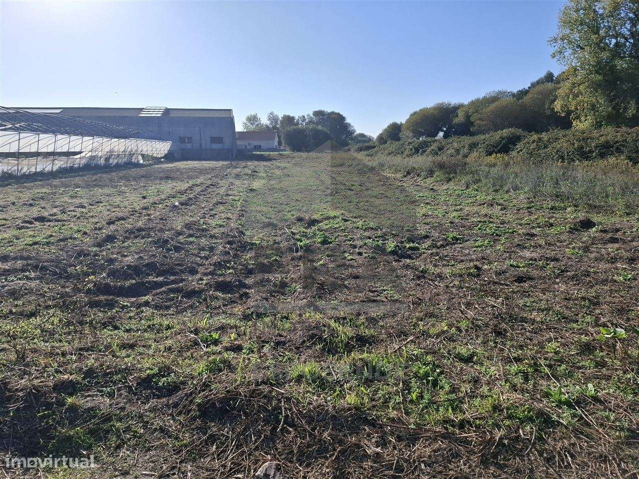 Terreno agrícola Belinho - Grande imagem: 4/7