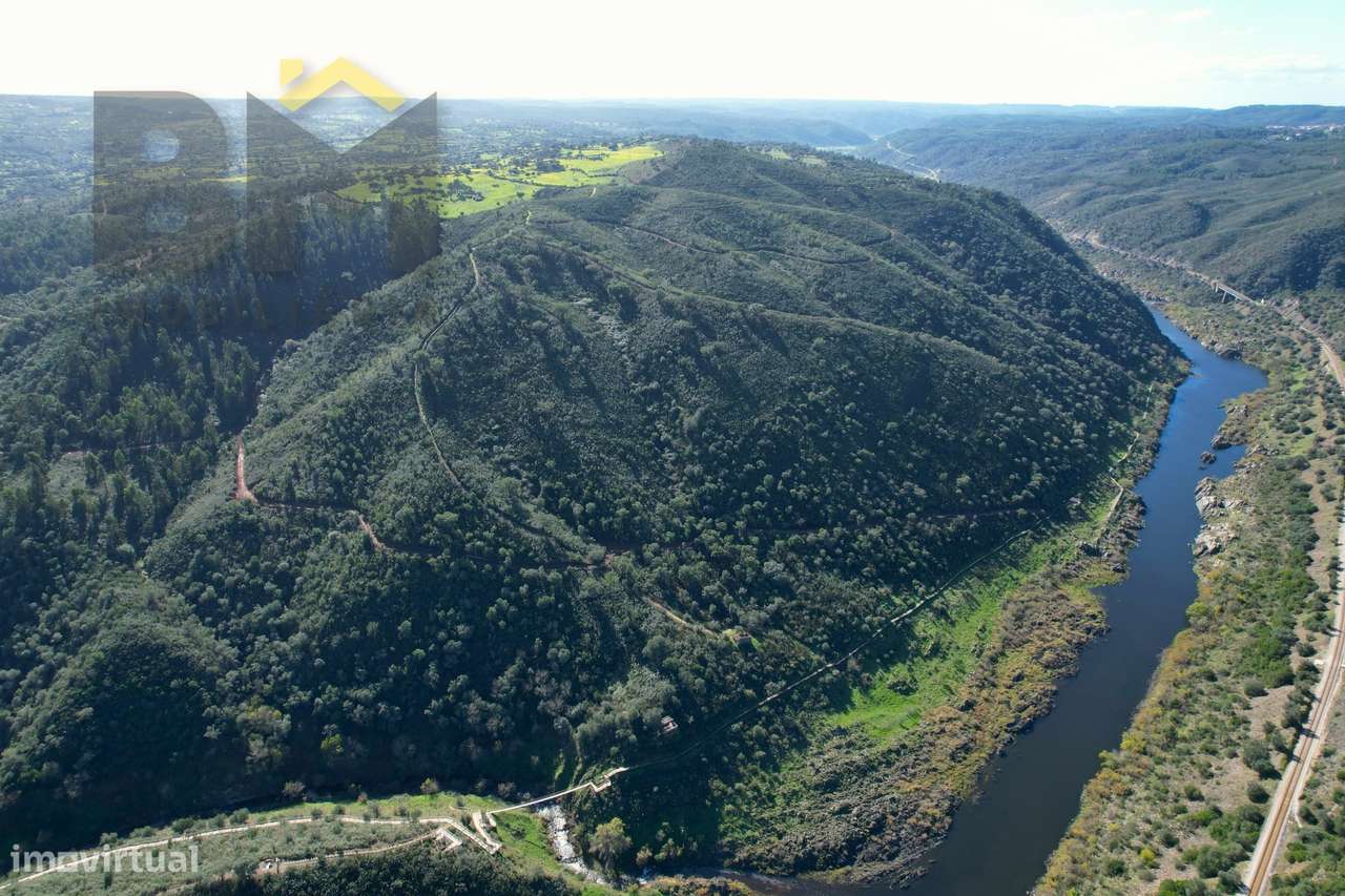 Terreno Rústico  Venda em Arez e Amieira do Tejo,Nisa - Grande imagem: 4/15
