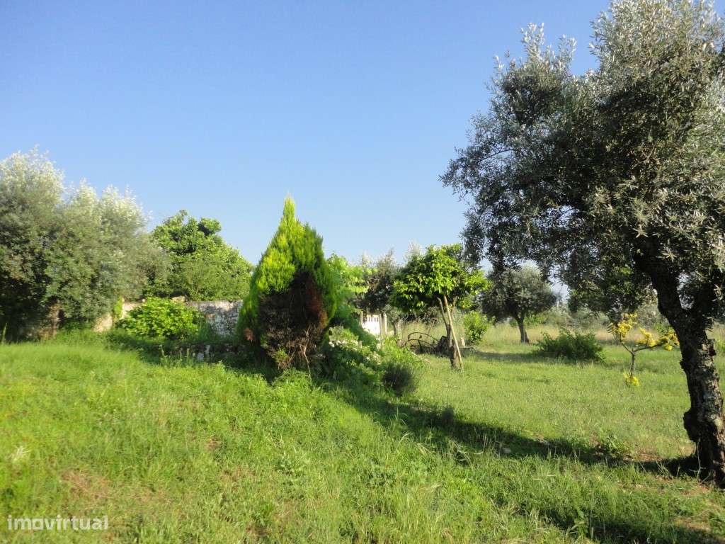 Quinta com vista sobre a cidade - Grande imagem: 4/10