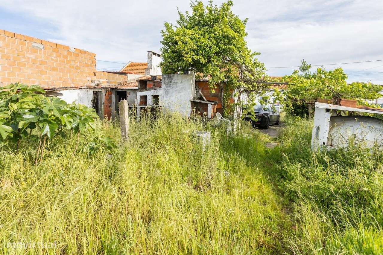 Moradia T2  com Garagem  e anexos inserida num lote de 1500 m2 de ter-46