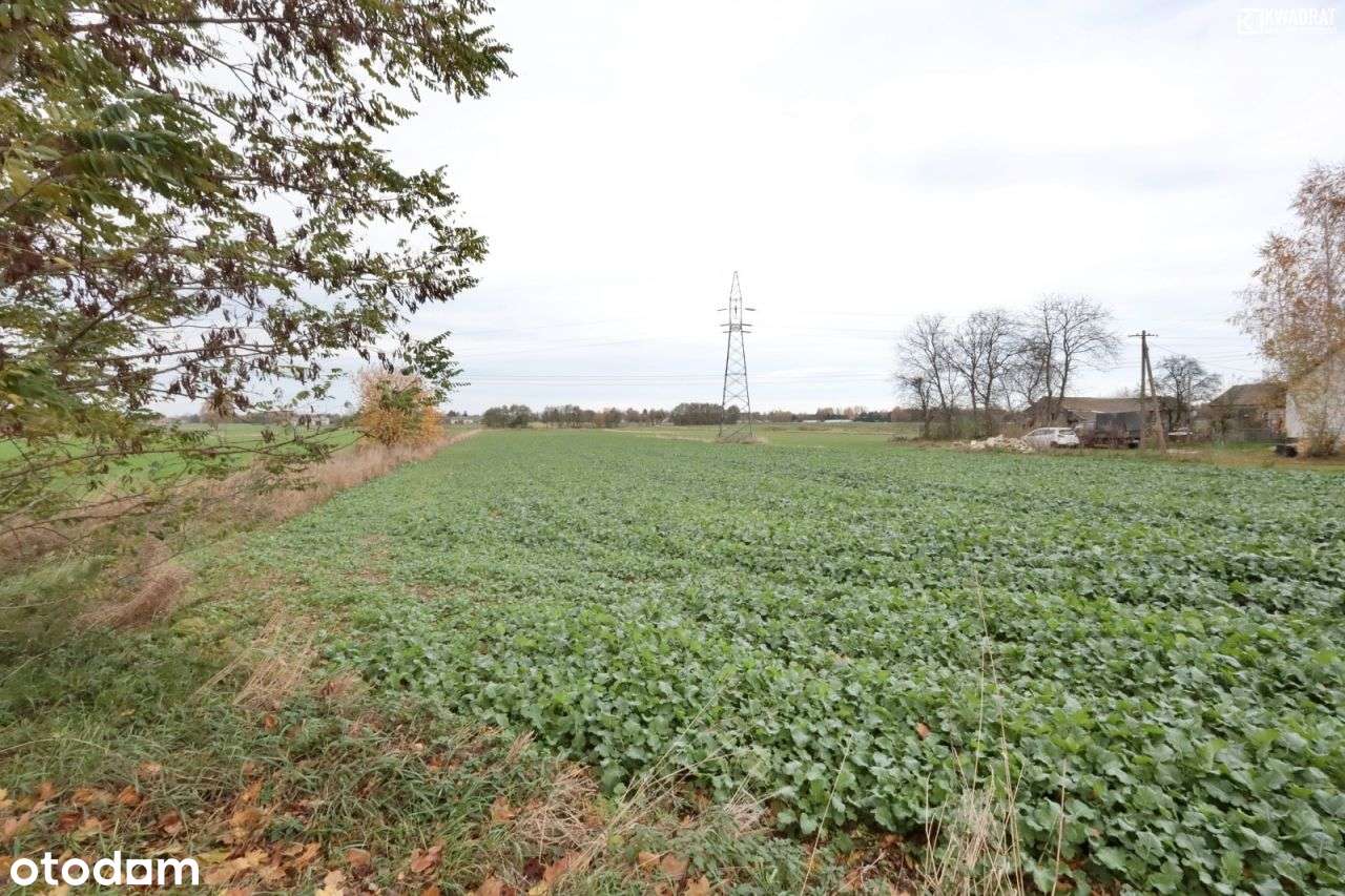 Działka 14,5 ar, Gmina Niemce - Pełny obrazek: 2/3