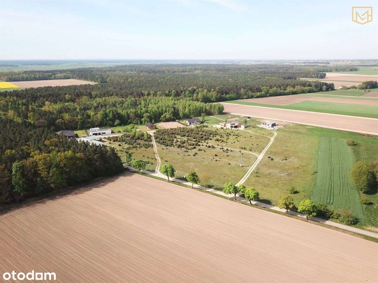 Działka budowlana Wz | Sadowie | 1200m2 | Media - Pełny obrazek: 5/5