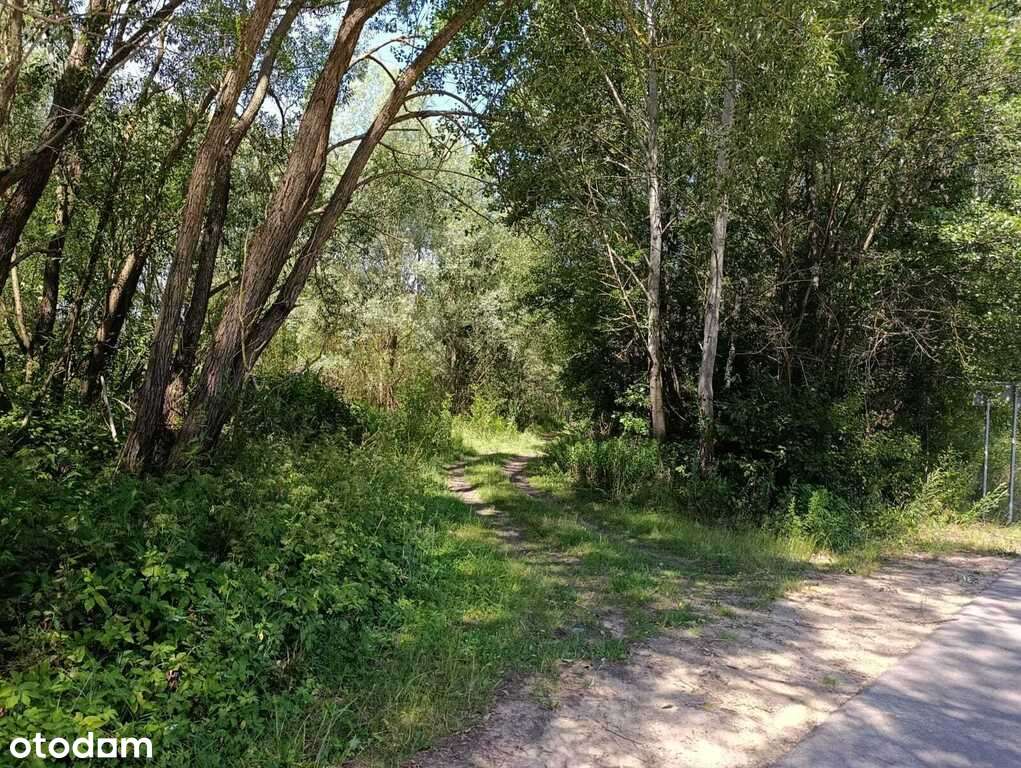 Działka w Doliwiu-2