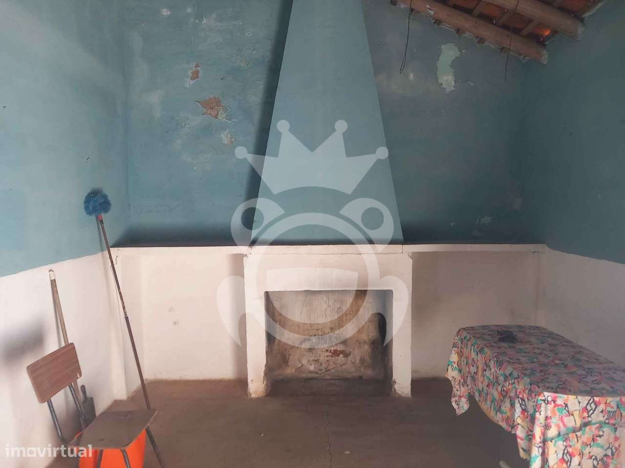 Olival tradicional com dependência agrícola - Vale de Vargo-5