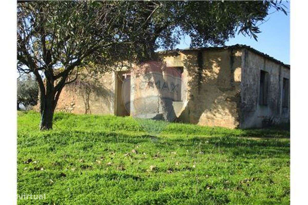 Quinta T0 para venda - Grande imagem: 4/24