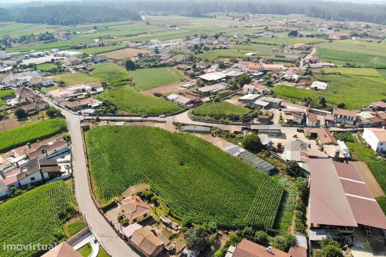 Terreno com Elevado Potencial para Investimento – Avanca, Estarreja-13