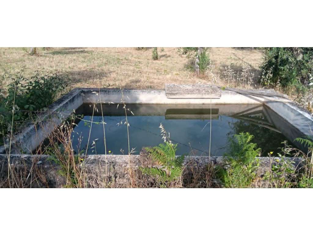 Magnífico Terreno com Viabilidade de Construção no Centro de Mação-17