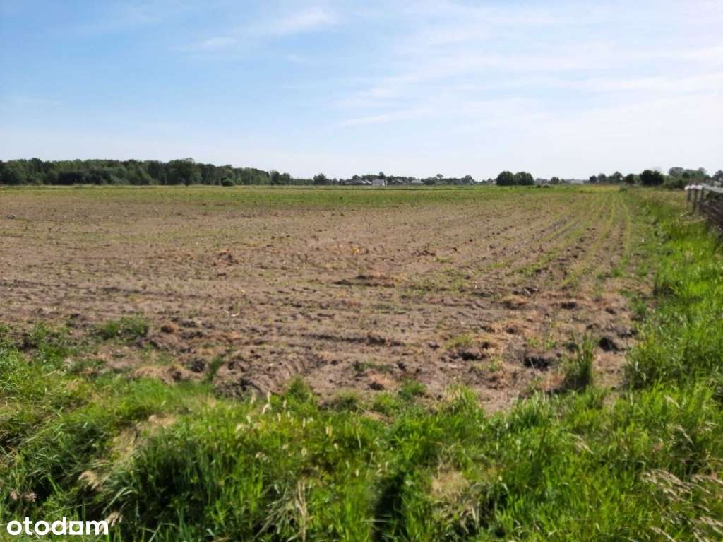 Działka inwestycyjna dla deweloperów i jako lokata - Pełny obrazek: 4/7