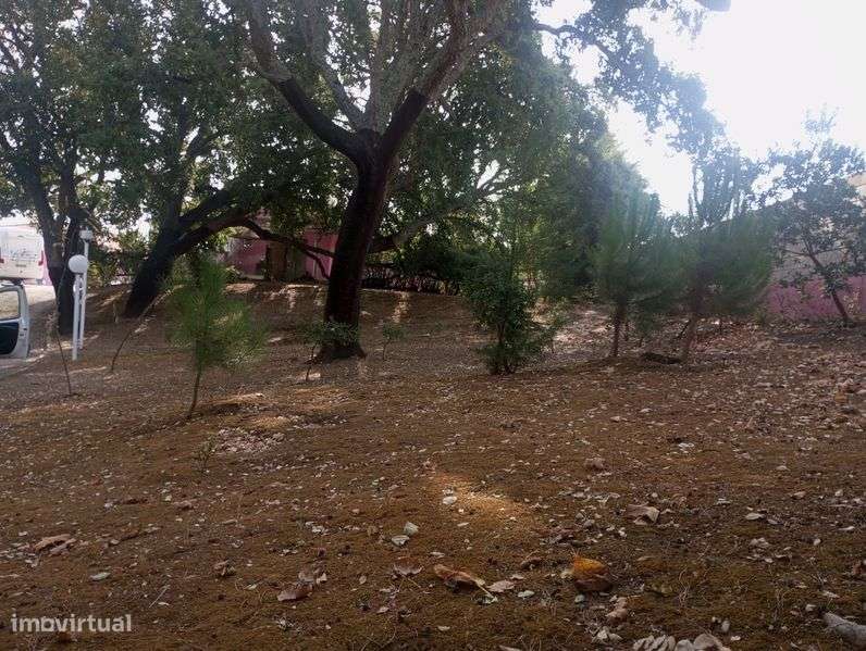 Villa composta de  vivenda+ chalet de madeira+casa+ piscina - Grande imagem: 4/12