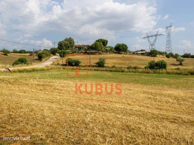 Terreno com Armazém - Charneca de Alcorochel - Grande imagem: 2/19