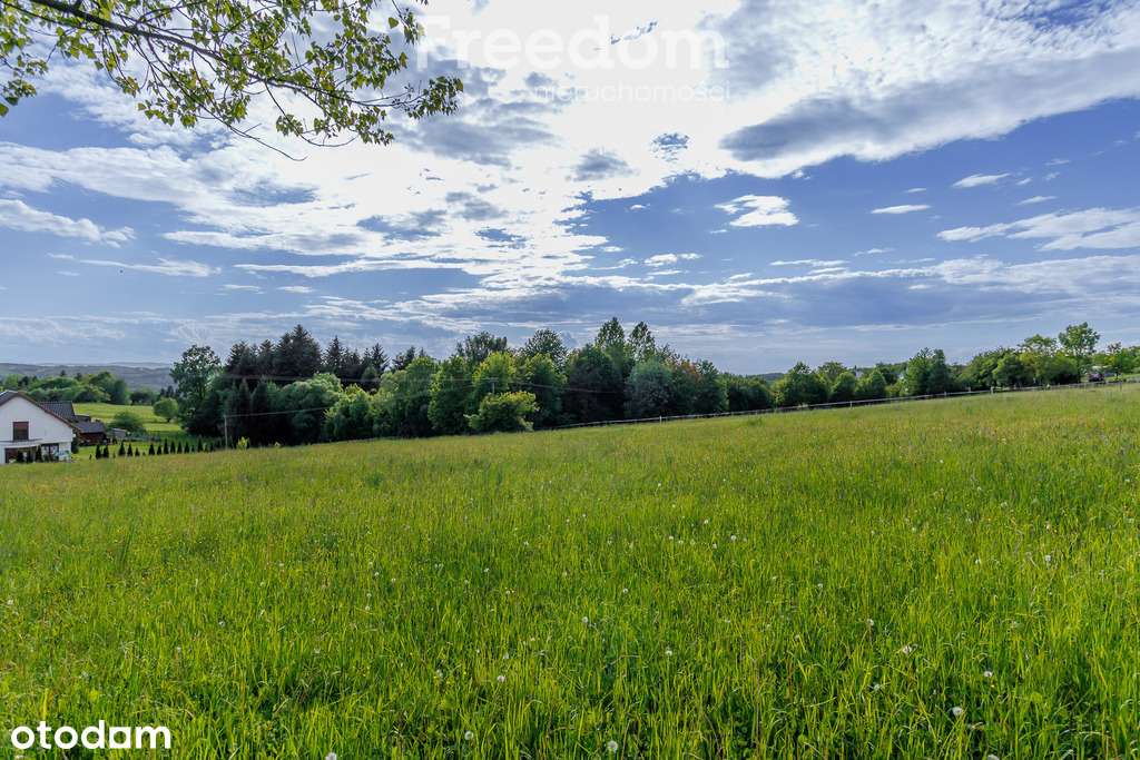 Działka pod budowę domu Rzepiennik Strzyżewski! - Pełny obrazek: 4/11