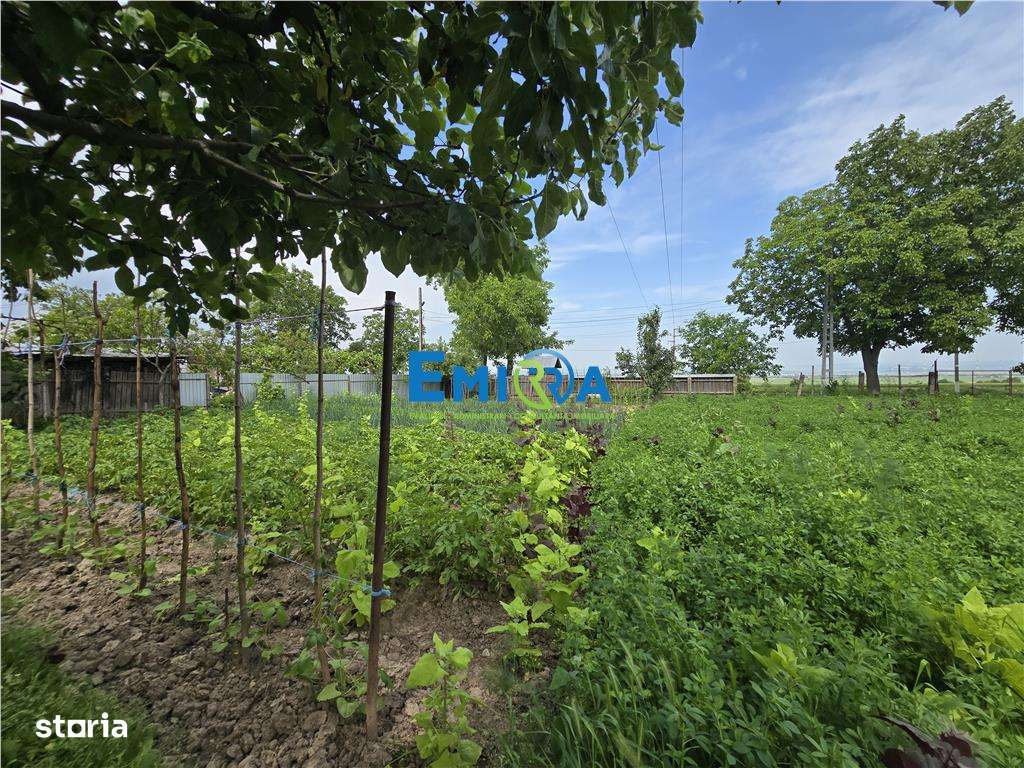 Proprietate de vanzare in Sat Izvoare, com. Bahna, judetul Neamt-5