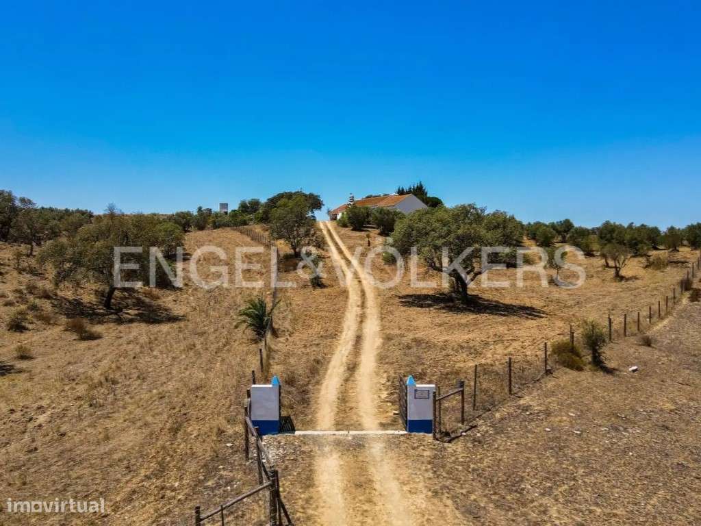 Monte na Serra de Grândola-5