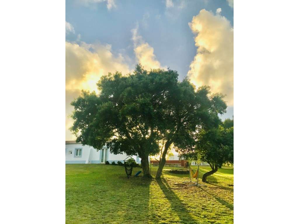 Hotel Rural para Venda na Costa Alentejana, Odemira-46