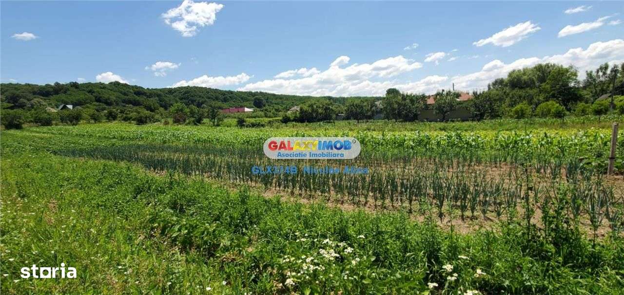 Teren intravilan comuna Bogati sat Birloi Jud. Arges - Imagine principală: 3/10