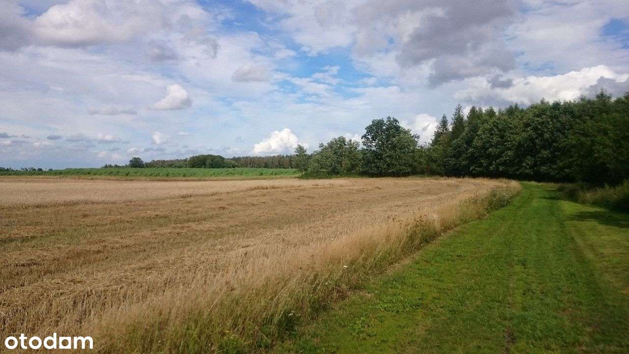 Ładne działki, las, jezioro-Nienawiszcz-PROMOCJA!!-5