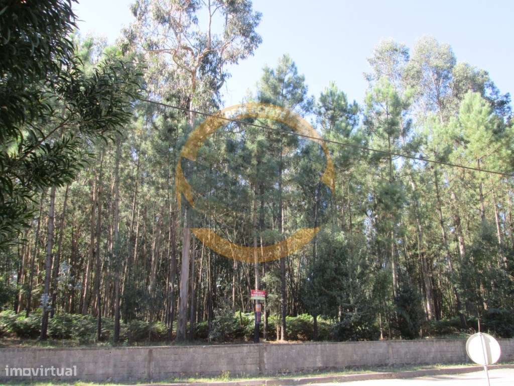 Terreno Venda São Vicente Pereira - Grande imagem: 5/9