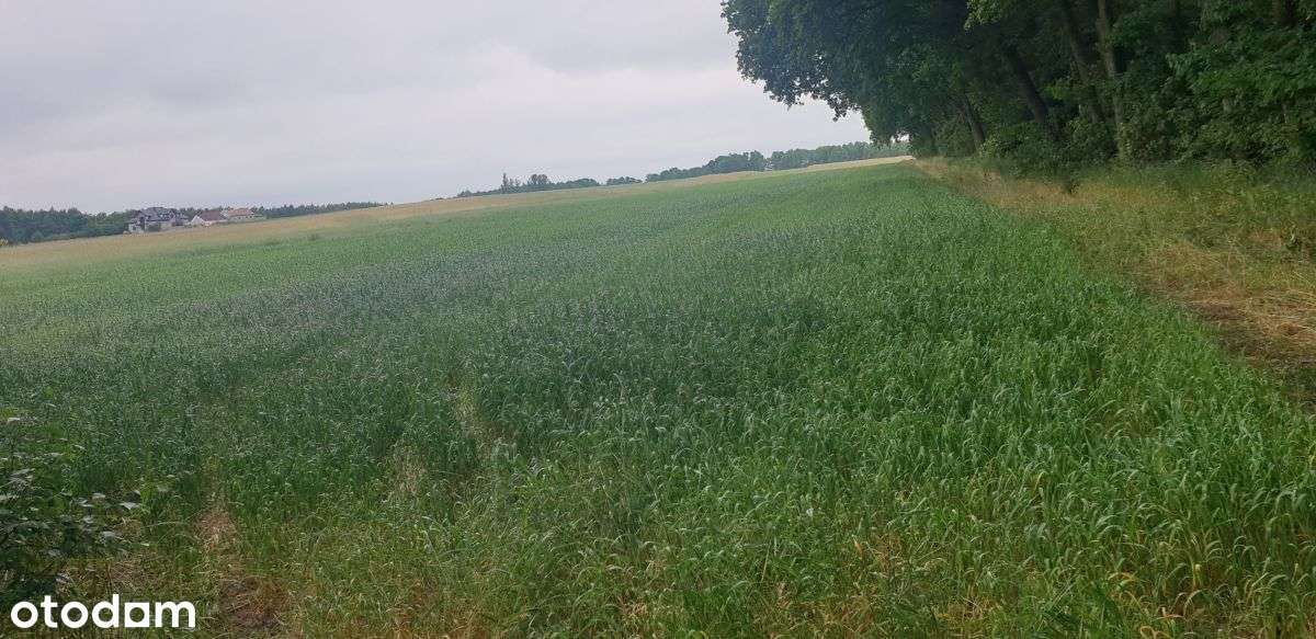 Działka, 1 041 m², Wola Pasikońska-4