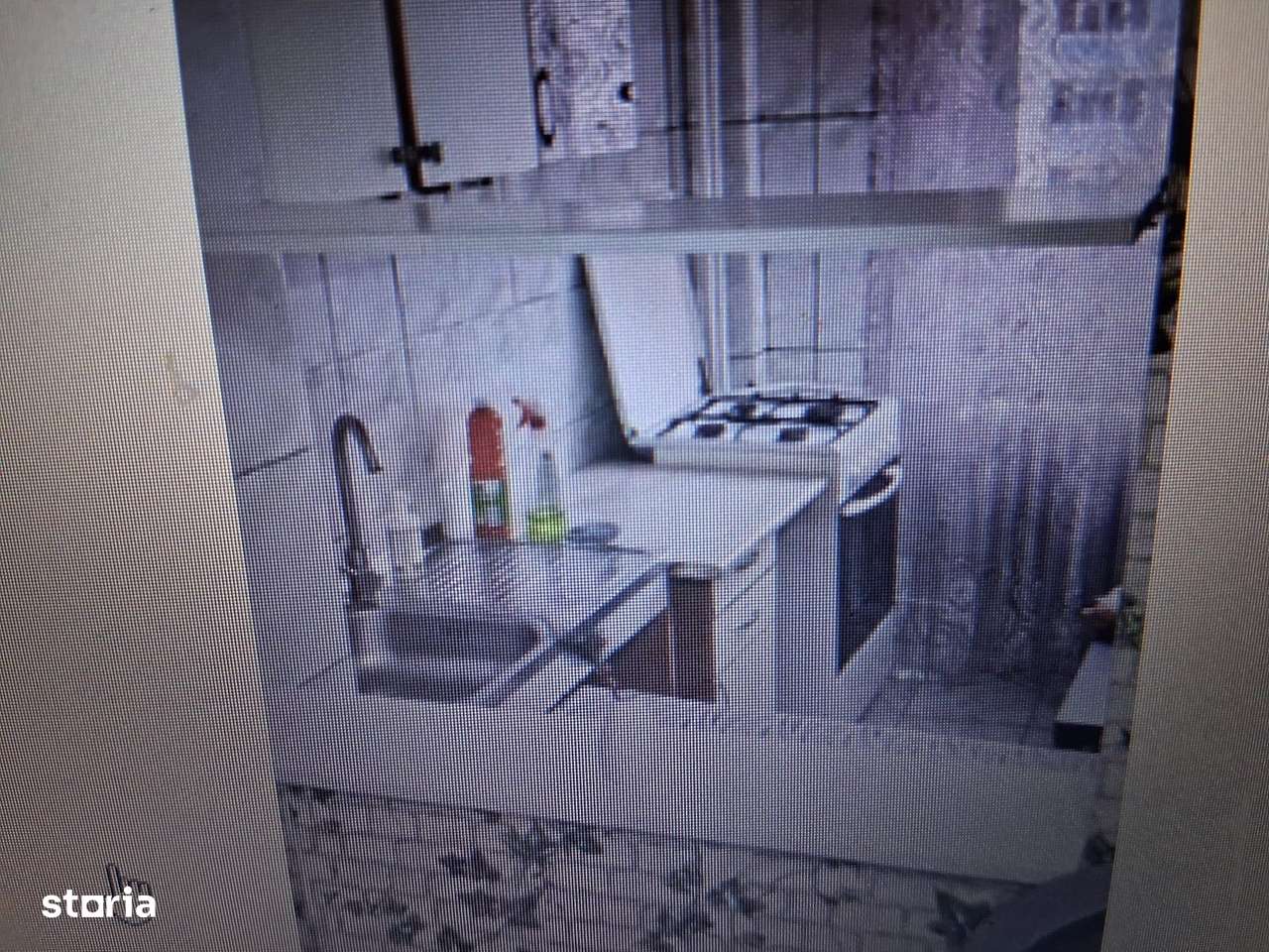 garsoniera teiul doamnei - Imagine principală: 3/7