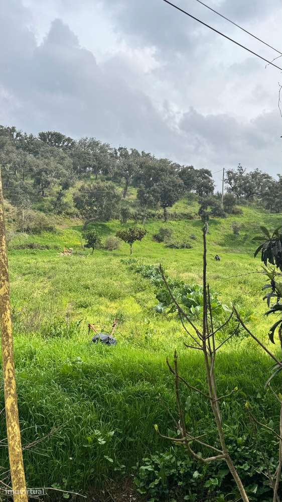 Terreno Rústico - Grande imagem: 4/4