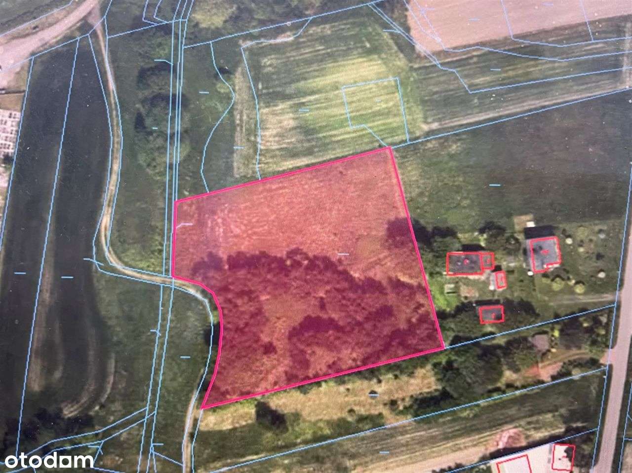 Działka budowlana 0,51 ha pod zabudowę – Orzesze - Pełny obrazek: 2/4