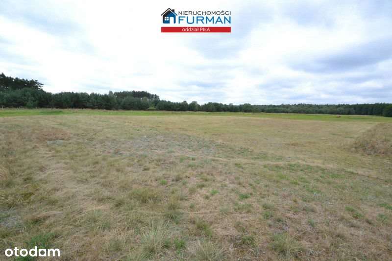 Działki budowlane, Straduń - Pełny obrazek: 5/19