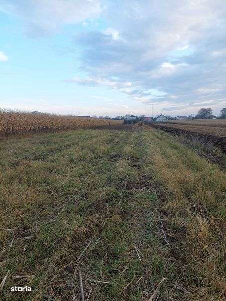 Vand teren intravilan situat in localitatea Bosanci, 30 ari - Imagine principală: 4/8