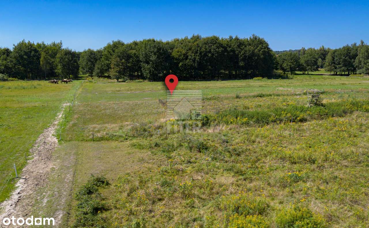 Działka budowlana w świetnej cenie! tylko 5500 zł/ ar!-7