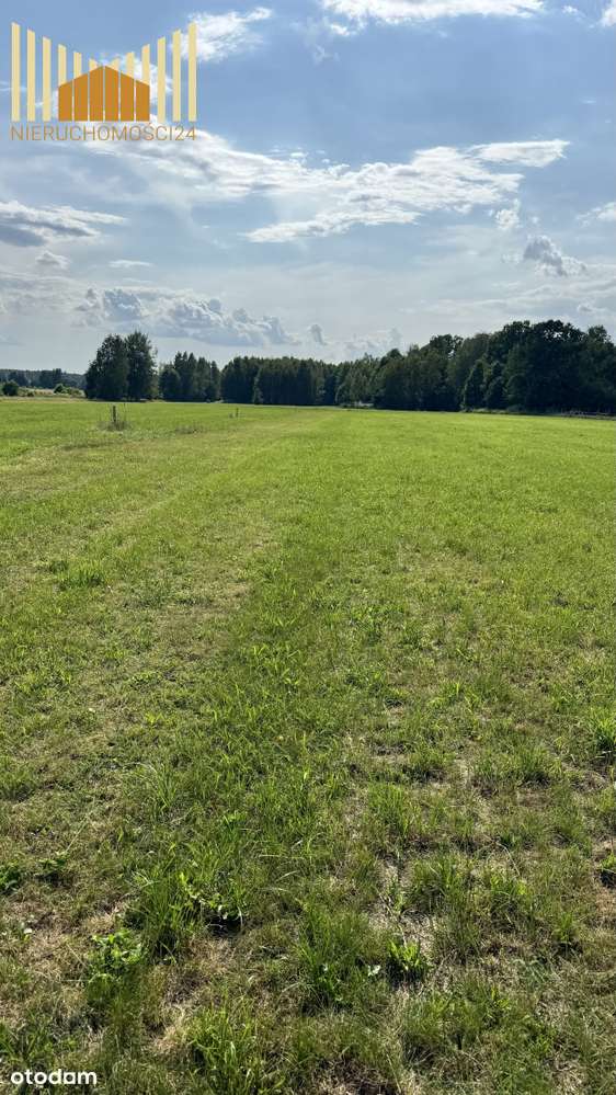 457956 - Pełny obrazek: 5/5