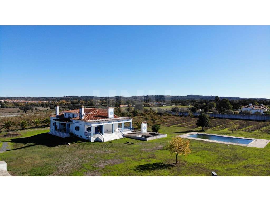 Quinta com 4,8 hectares e casa T9 em Vila Nova da Baronia-8