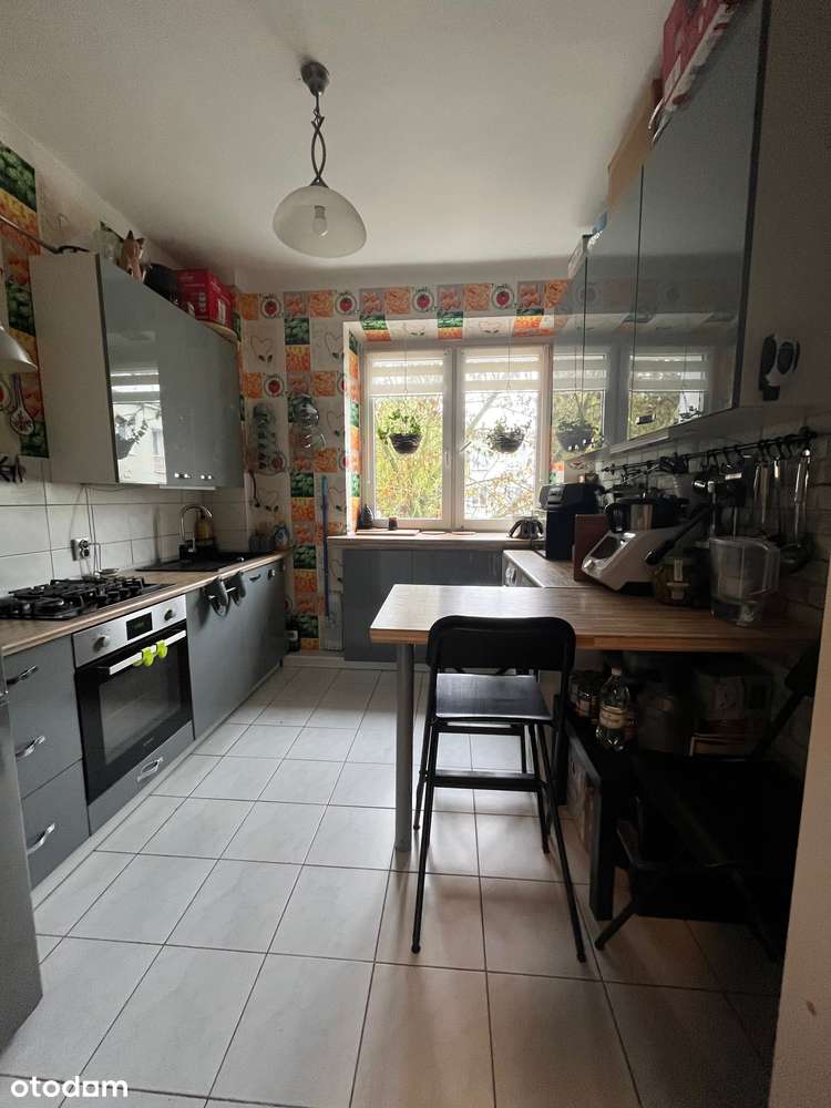 Duże 2 pokojowe  blisko centrum, parku-1