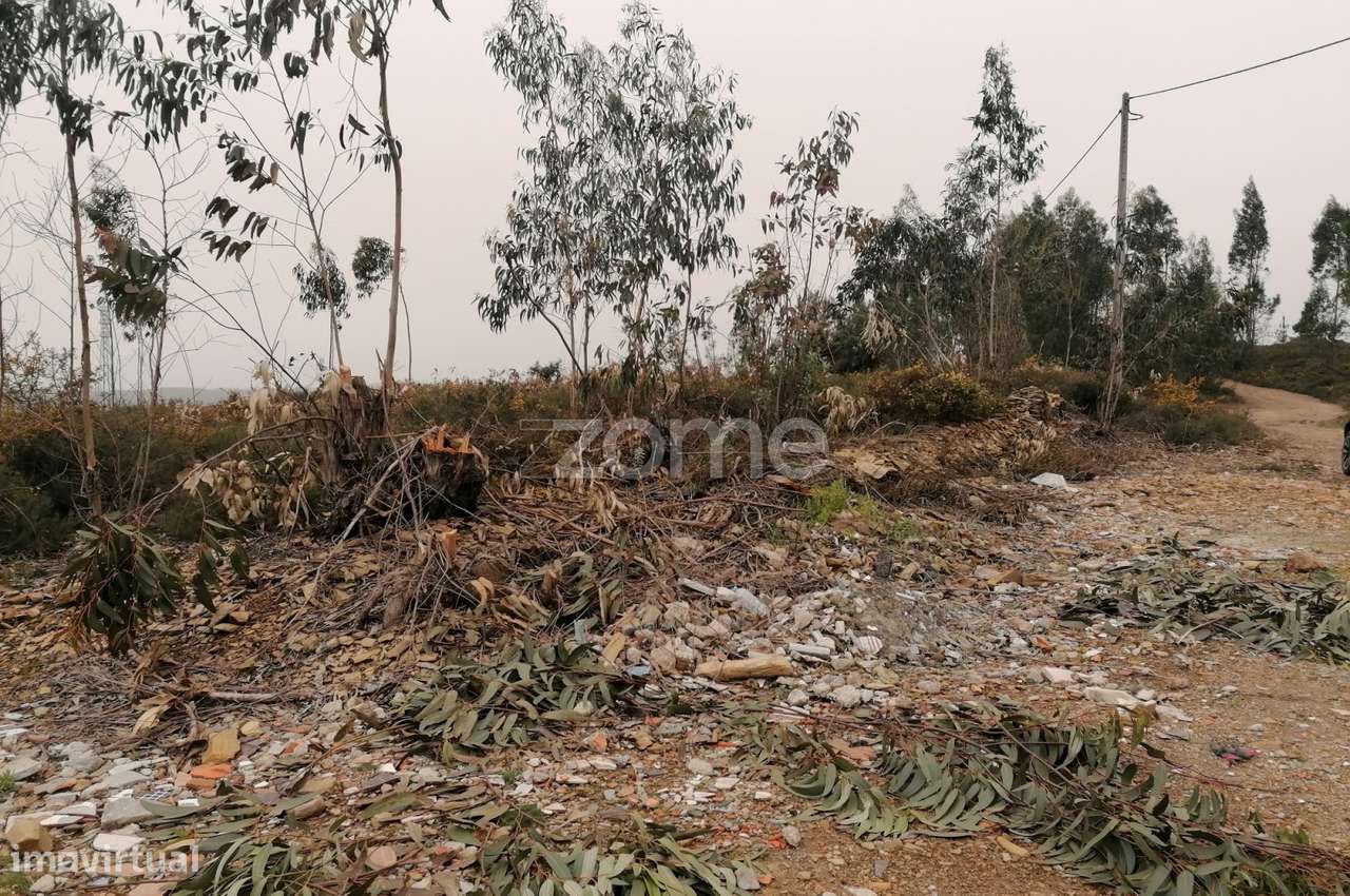 Terreno com 26.000 M2 em Ribeirão Vila nova de Famalicão - Grande imagem: 5/16