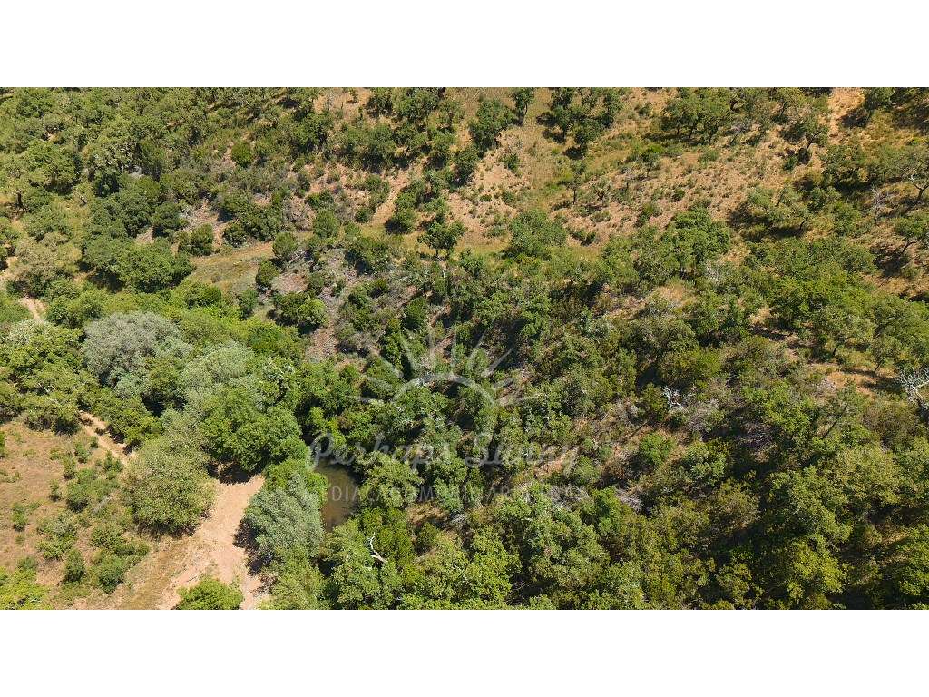 Propriedade Rústica de Montado com Ribeira | 22,6 Hectares | Serra ...-14