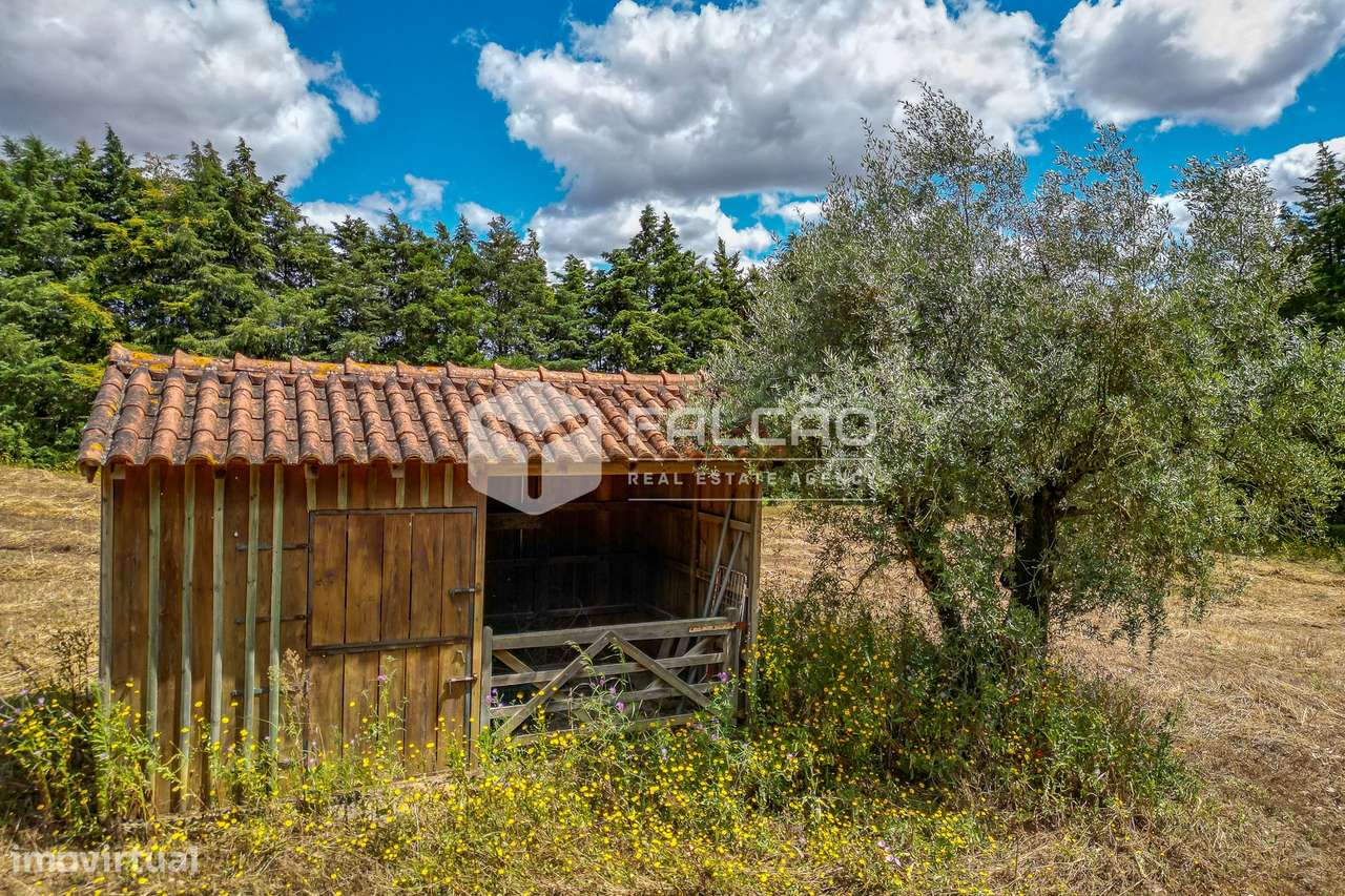 Moradia T5 Venda em Moçarria,Santarém-6