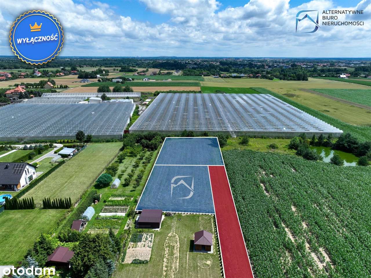 Wyjątkowe działki w Łęcznej, os. Kolonia Trębaczó - Pełny obrazek: 4/12