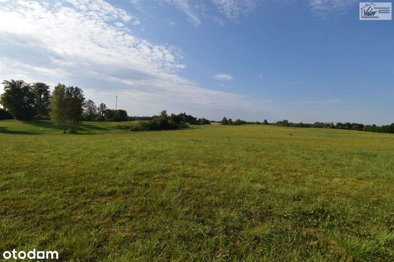 Działka, 3 006 m², Tuławki - Pełny obrazek: 5/11