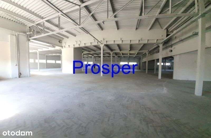 h=3,80m-4,2m posadzka niepylna, bramy 0 - Pełny obrazek: 5/10