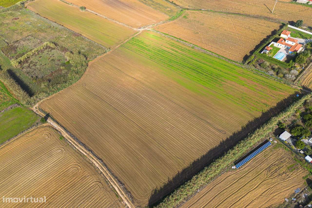 Terreno com bom potencial - Grande imagem: 4/10