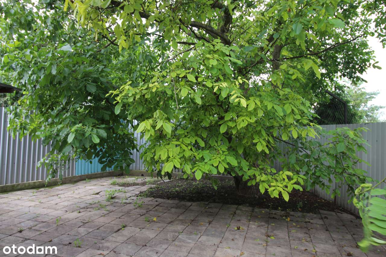 Na sprzedaż pawilon usługowo-handlowy, Orłowo, powiat wąbrzeski-11