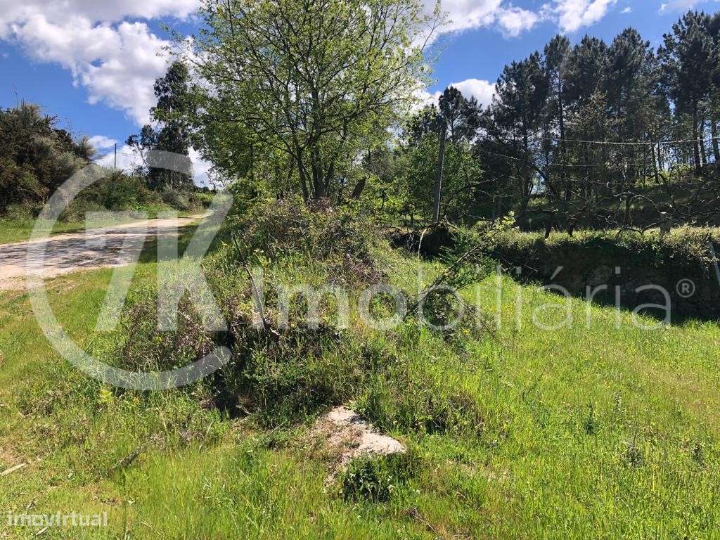 Terreno sito na Légua-3