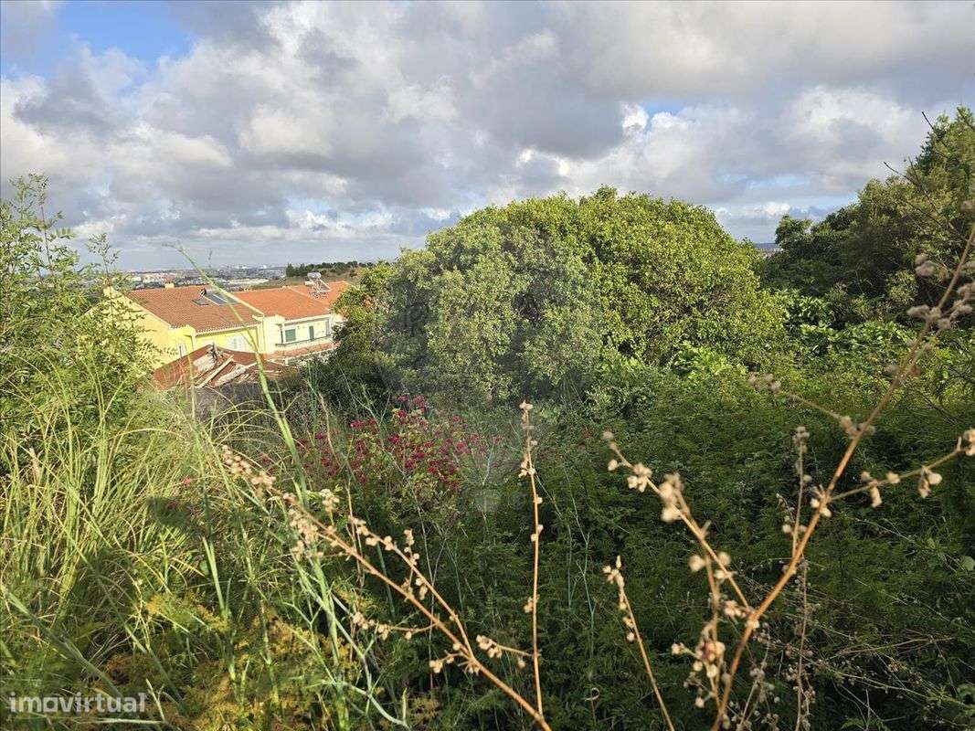 Terreno  para venda - Grande imagem: 5/13