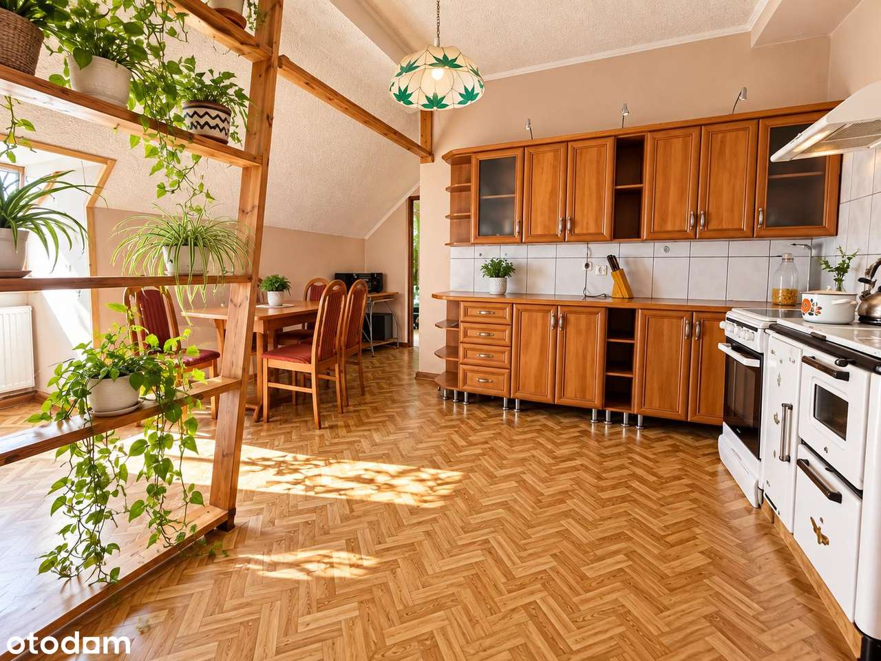 Cibórz | 2 pokoje | 48,48 m² | I piętro | piwnica-3