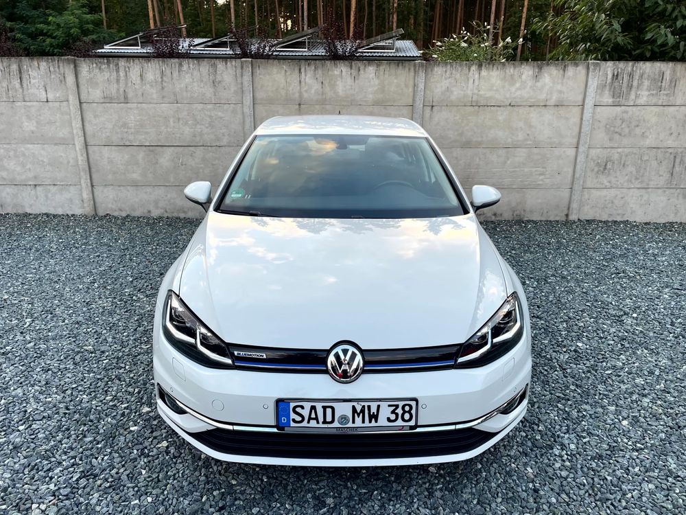 Volkswagen Golf VII (2012-2020) 1.5 TSI BlueMotion ACT DSG Highline 2019