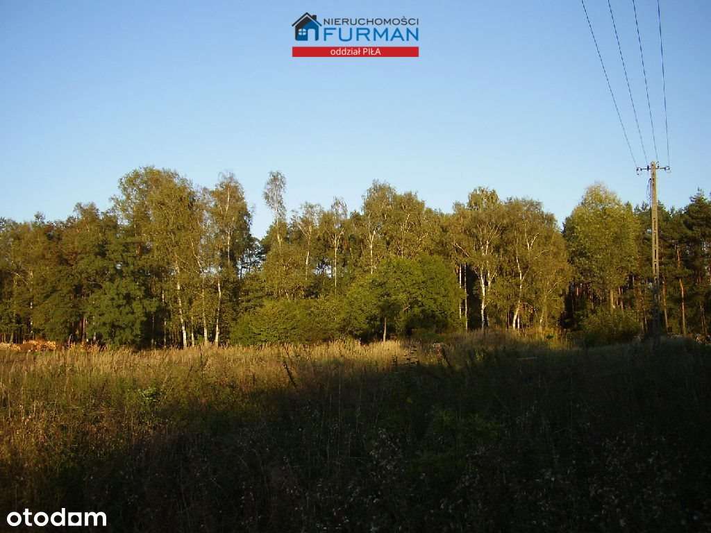 Działka na sprzedaż, Chodzież (gw) - Pełny obrazek: 4/7