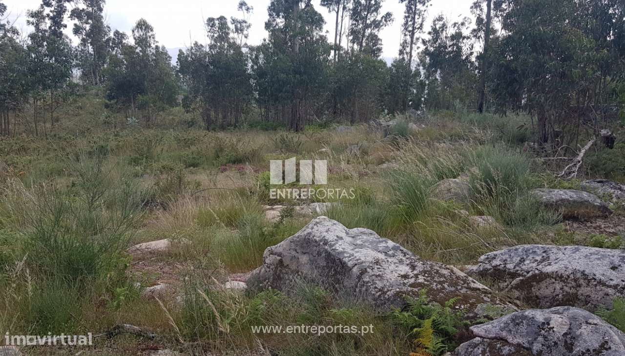 Venda Terreno, Sande, Marco de Canaveses - Grande imagem: 4/8