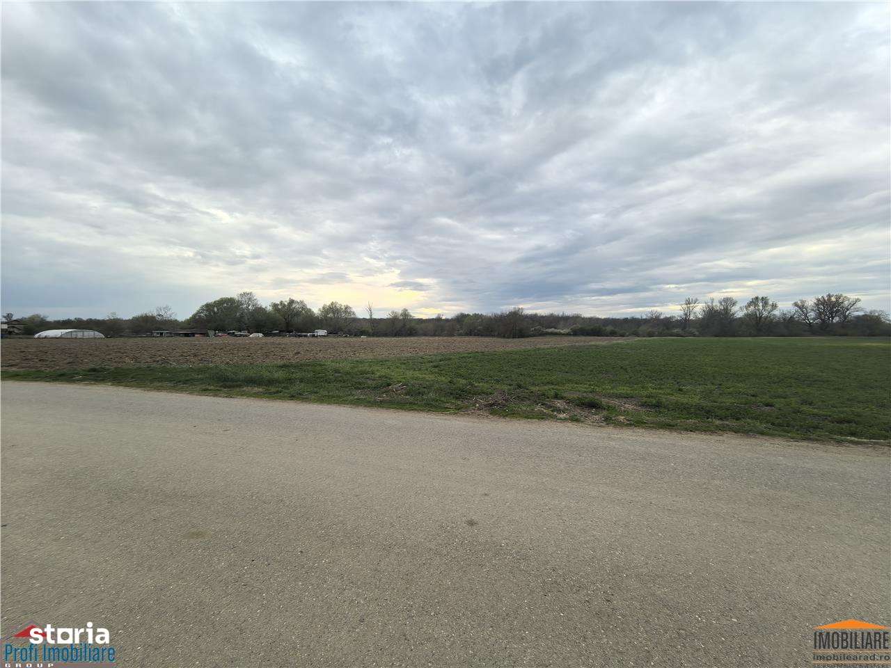 Teren zona agrement padure Vladimirescu - Imagine principală: 3/5