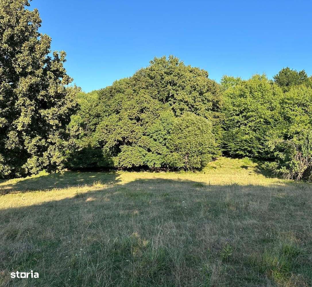 Teren 18.000 mp, priveliste frumoasa - Sura Mare - Imagine principală: 3/5