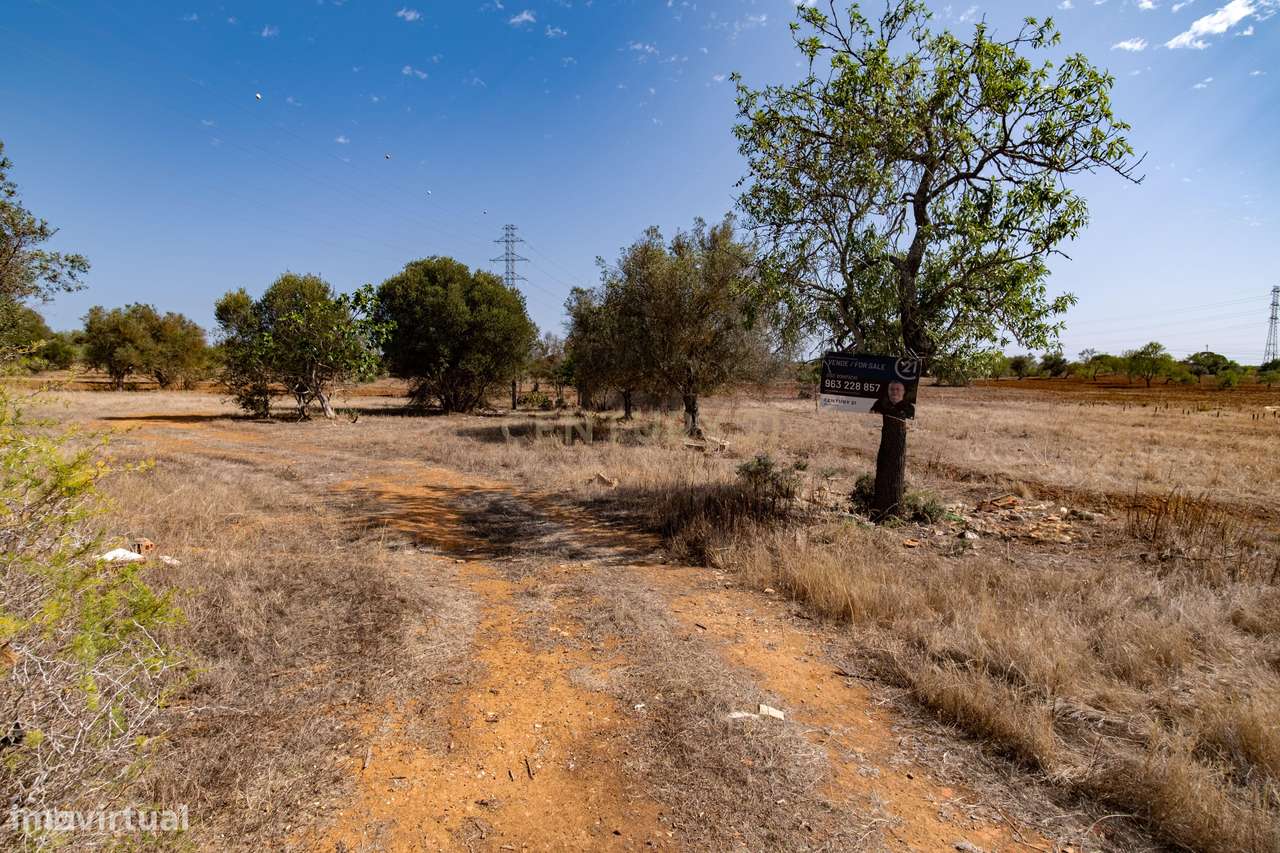 Terreno rustico de 8 040 m2 em Tunes - Grande imagem: 4/8